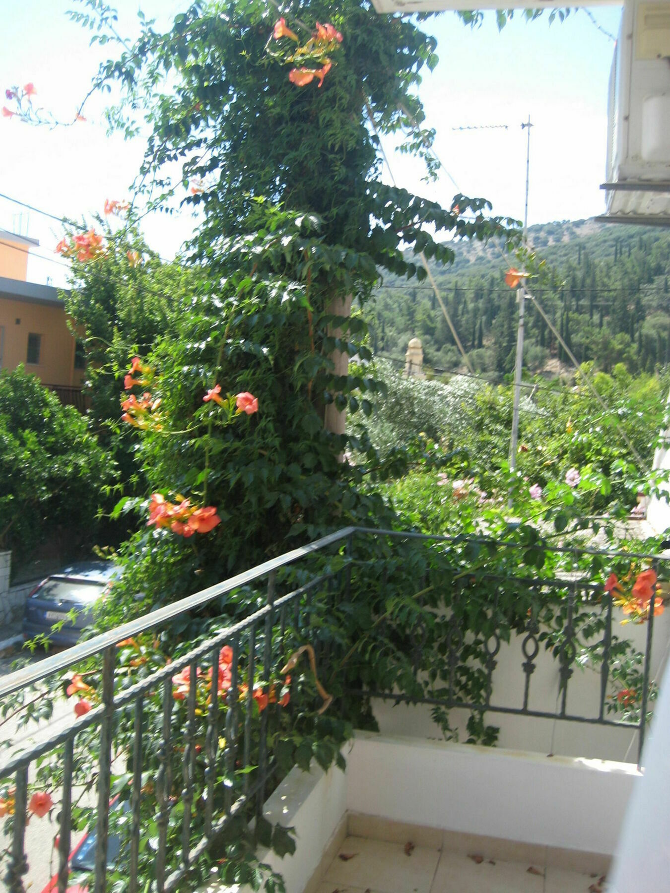 Giannos Apartments Agia Efimia Eksteriør billede